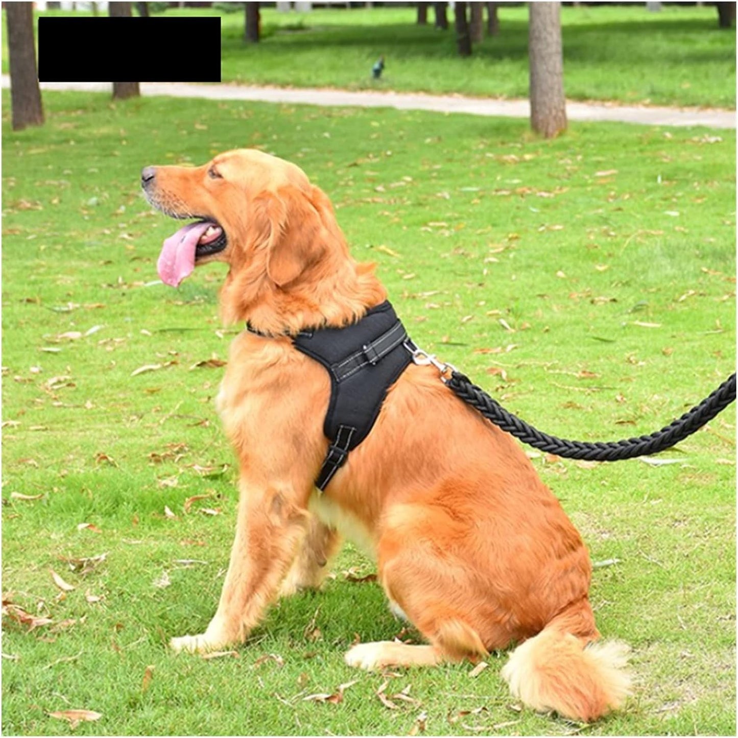 FlexiVest: Reflective Adjustable Harness & Leash Set for Pets