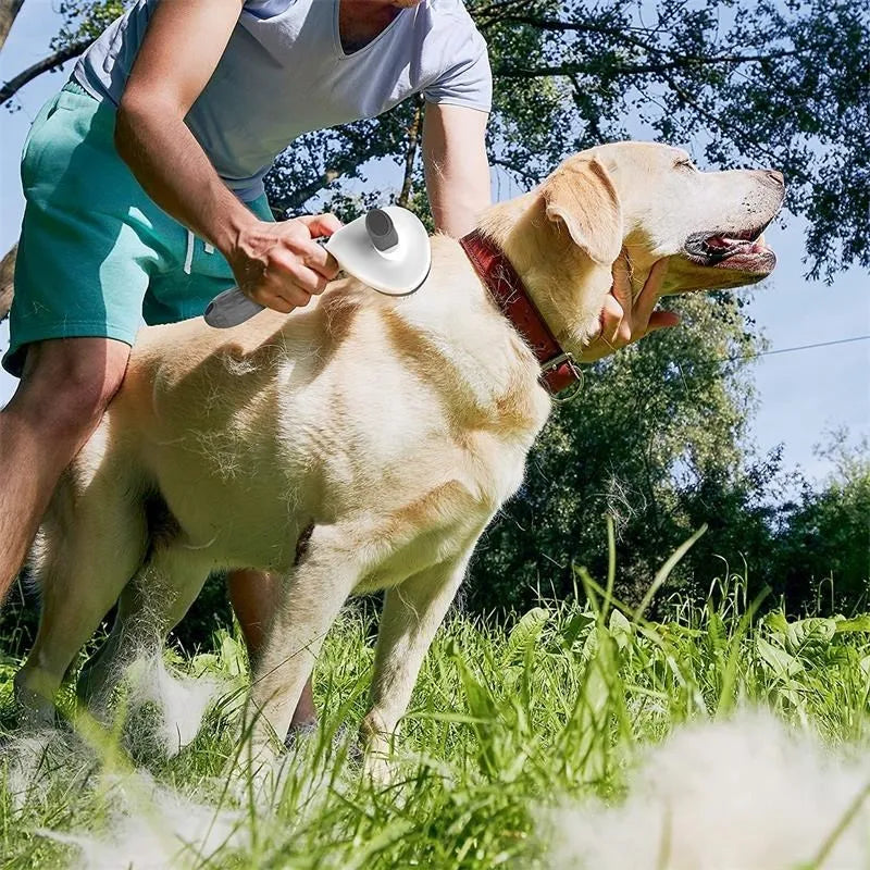 EasyGroom : Brosse autonettoyante pour animaux de compagnie pour chats et chiens