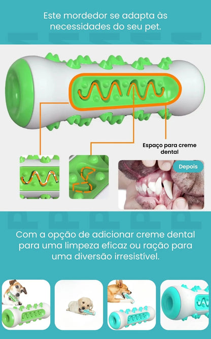 Jouet interactif multifonctionnel de brosse à dents 