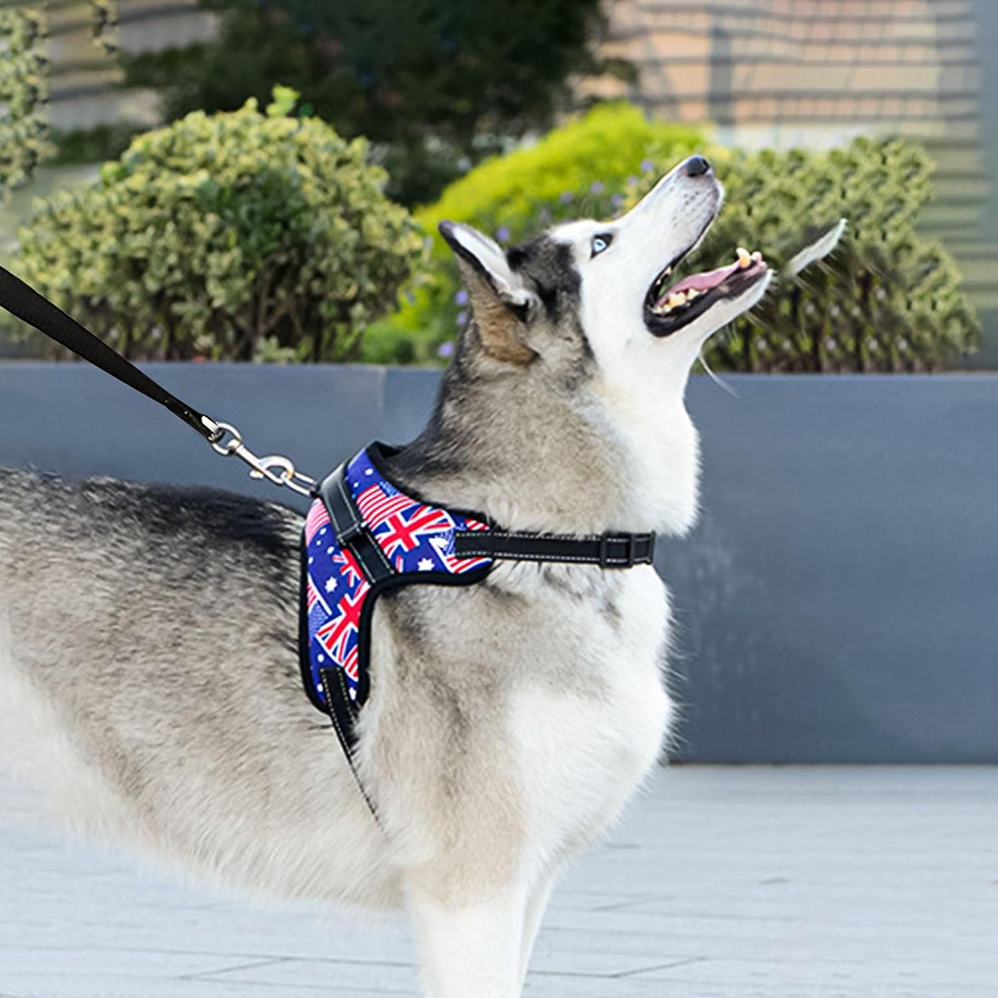 FlexiVest: Juego de correa y arnés reflectante ajustable para mascotas