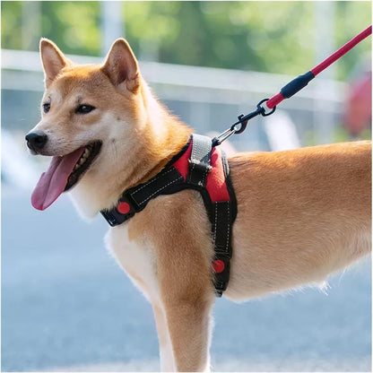 FlexiVest : ensemble harnais et laisse réglables réfléchissants pour animaux de compagnie