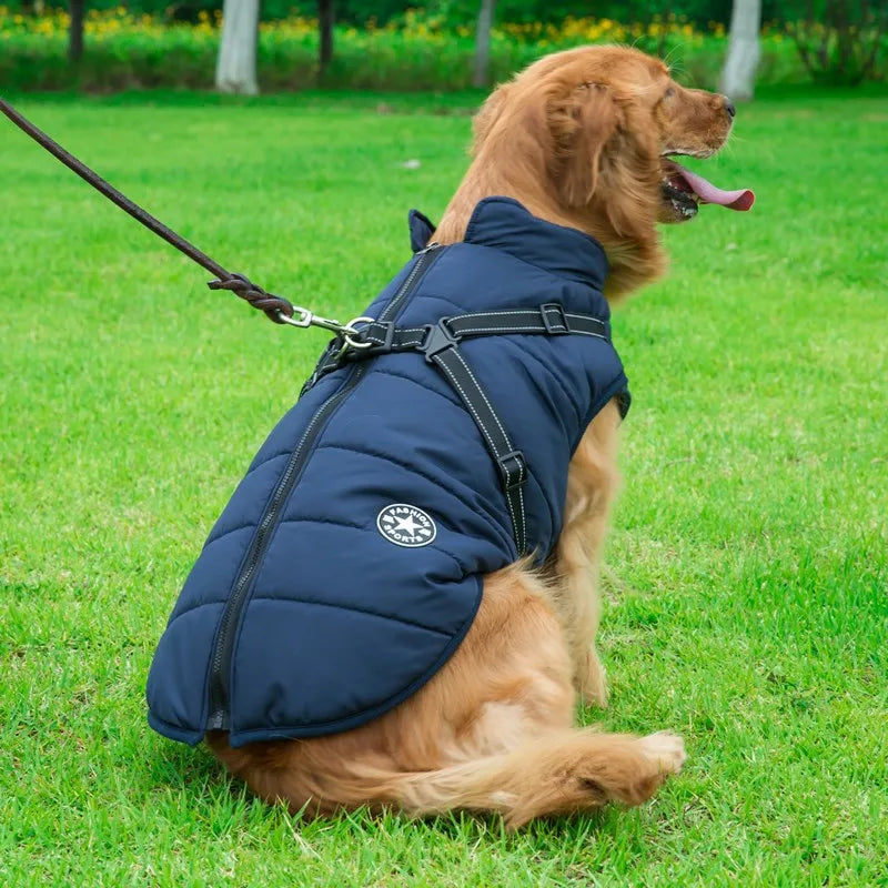 PawProtector: Waterproof Pet Parka