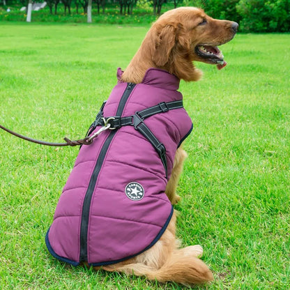 PawProtector : Parka imperméable pour animaux de compagnie