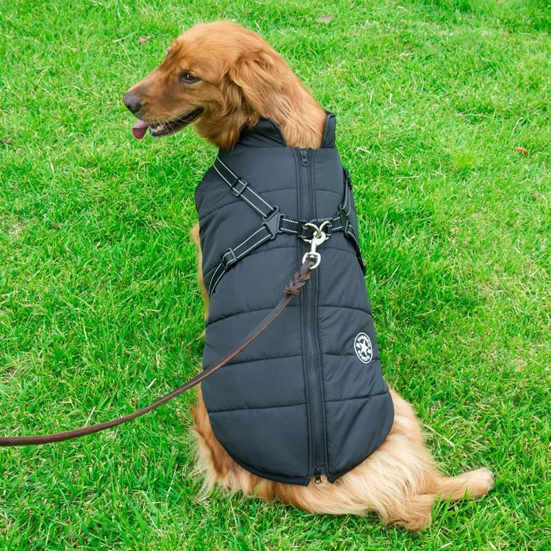 PawProtector: Waterproof Pet Parka