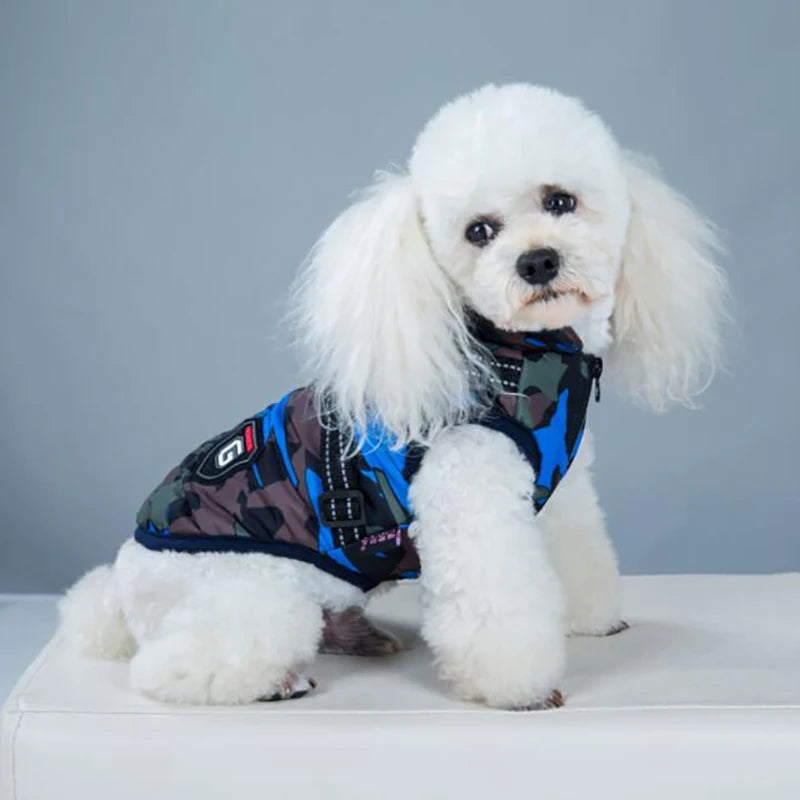 PawProtector: Parka impermeable para mascotas