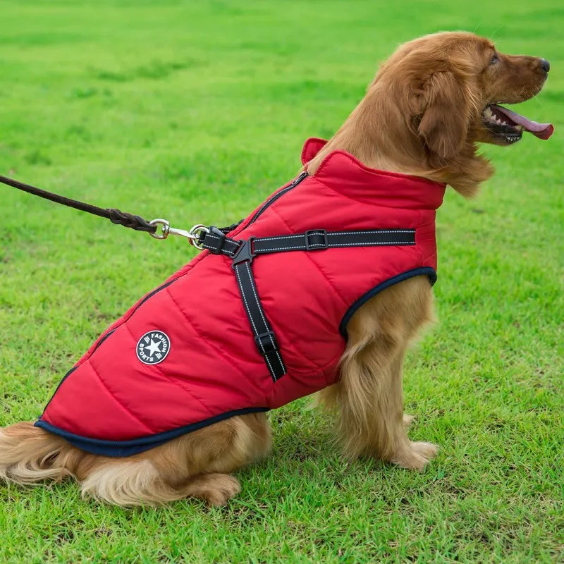 PawProtector: Waterproof Pet Parka