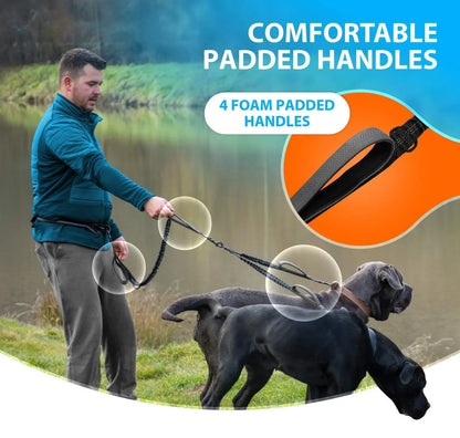 Hands-Free Double Dog Leash – Reflective Adjustable Belt