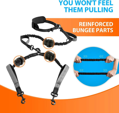 Hands-Free Double Dog Leash – Reflective Adjustable Belt