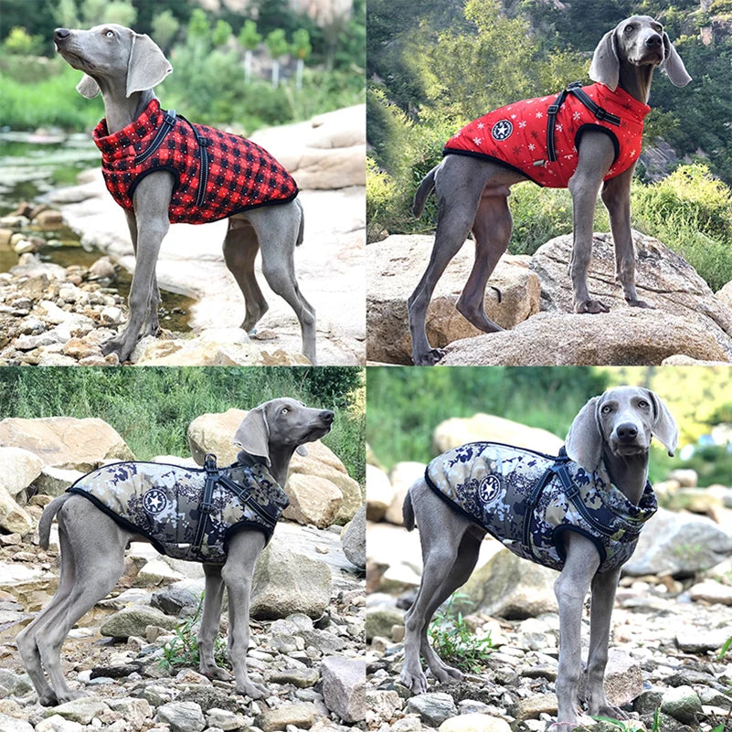 PawProtector: Parka impermeable para mascotas