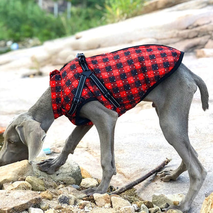 PawProtector: Waterproof Pet Parka